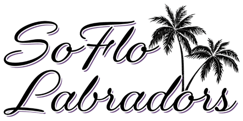SoFlo Labradors of South Florida Logo