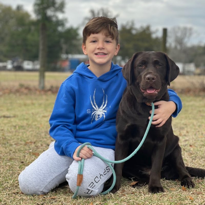 SoFlo Labradors South Florida Labrador Retriever Breeder